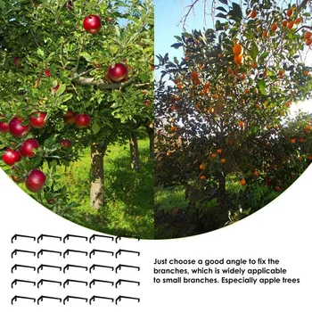 25 Шт. разбрасыватель веток дерева, опорная рама для веток дерева Для прочной ветки на яблоках и других фруктовых деревьях, Долговечных