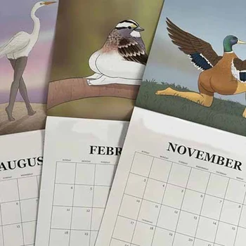 Календарь с чрезвычайно точными птицами Настенный календарь Январь 2024 - декабрь 2024,12 Птиц в месяц Подвесной календарь-планировщик Прочный