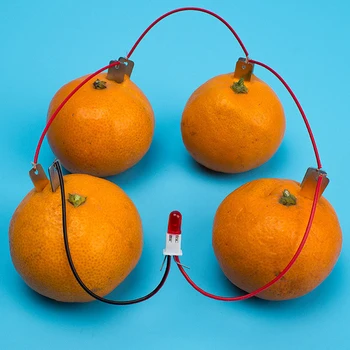 Научный набор по биоэнергетике Эксперименты с электричеством из Картофеля и фруктов Для детей, Обучающая Научная игрушка для студентов