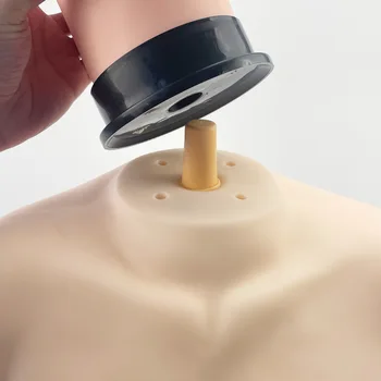 Профессиональная косметология Голова Манекена Модель плеча Бюст Платформа для тренировки головы Манекена